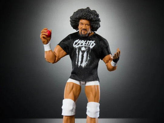 Series 113 Carlito