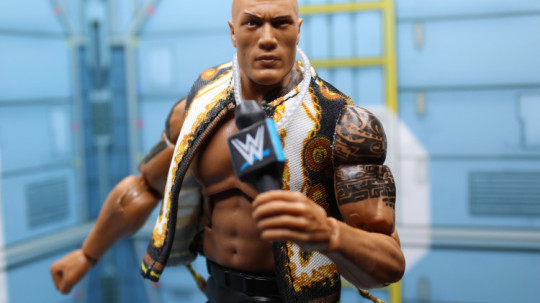 Wrestling Figures