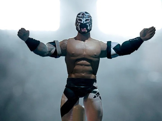 Bushi