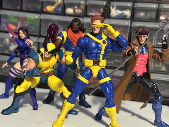 Collector win