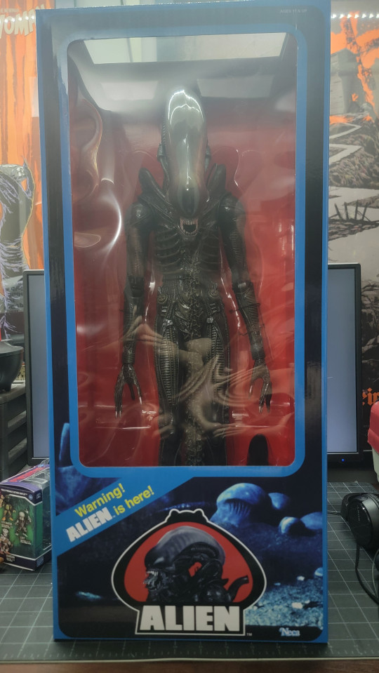 Collector win