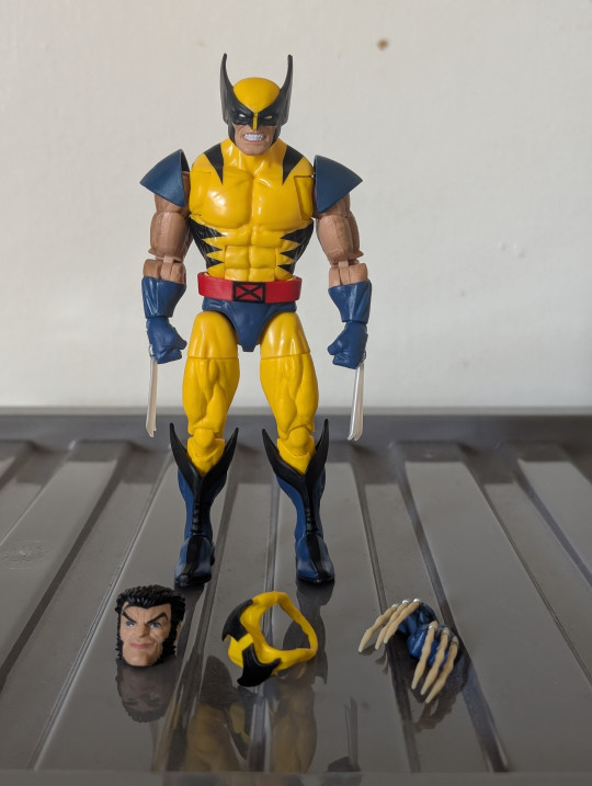 Collector win