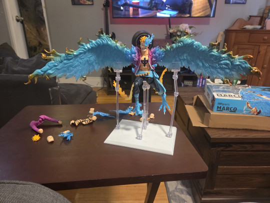 Collector win