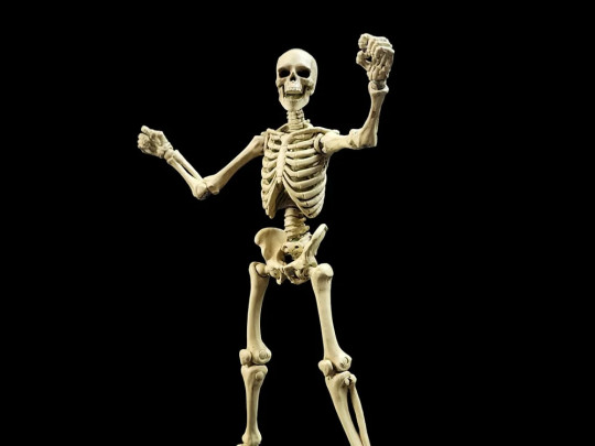 Epic H.A.C.K.S. Skeleton Blank (Classic Bone) 1/12 Scale