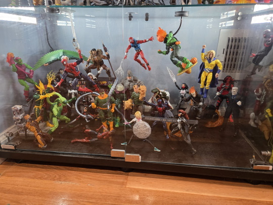 Display by domino_hawk