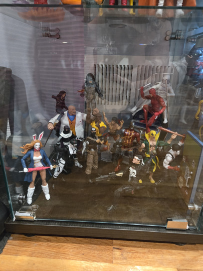 Display by domino_hawk