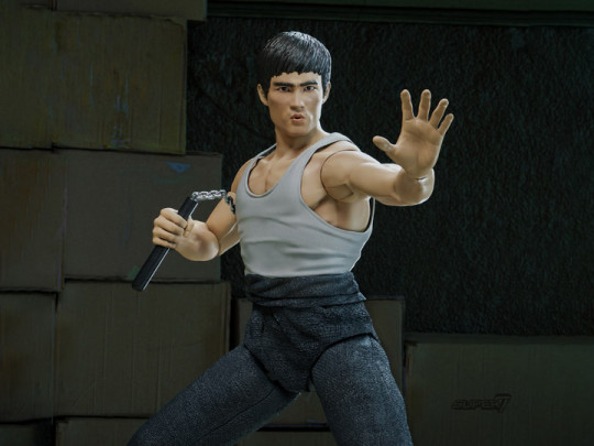 Bruce Lee The Warrior