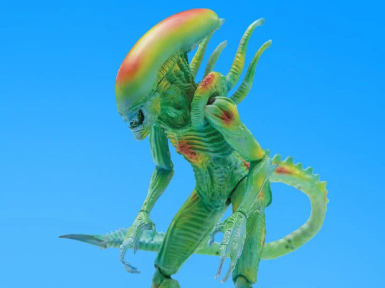 Alien vs. Predator Alien Warrior (Thermal Vision) PX Previews Exclusive