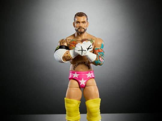 Series 113 CM Punk