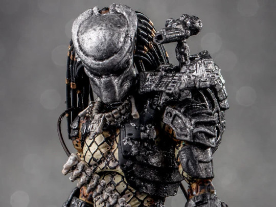 Predator Jungle Hunter Predator