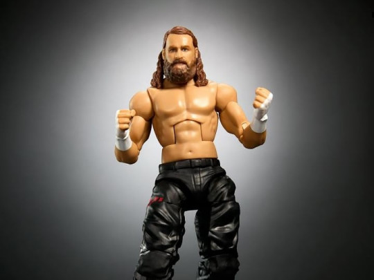 Series 106 Sami Zayn