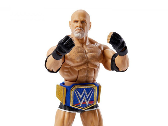 Top Picks Goldberg