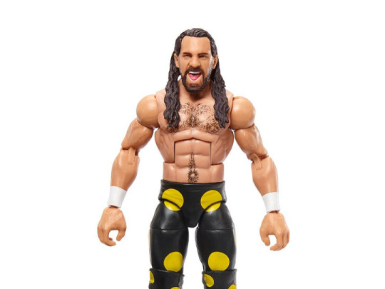 Top Picks 2024 Seth Rollins