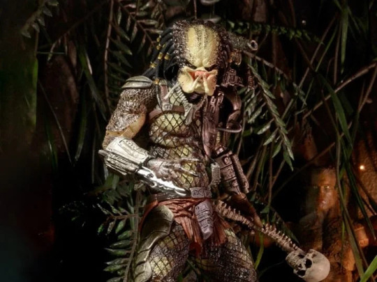 Predator Jungle Hunter Predator
