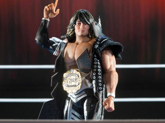 New Japan Pro-Wrestling Hiroshi Tanahashi