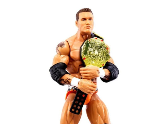 SummerSlam Randy Orton