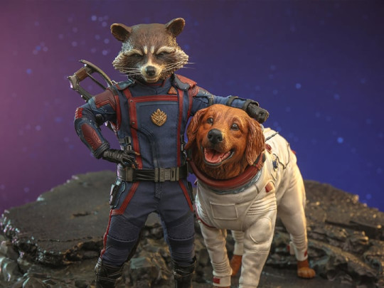 Guardians of the Galaxy Vol. 3 MMS708 Rocket and Cosmo Set