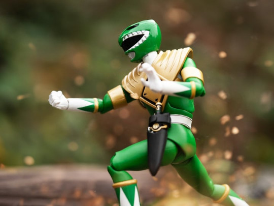 Mighty Morphin Power Rangers Green Ranger