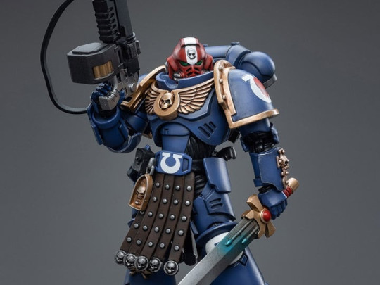 Ultramarines Intercessor Veteran Sergeant Brother Aeontas