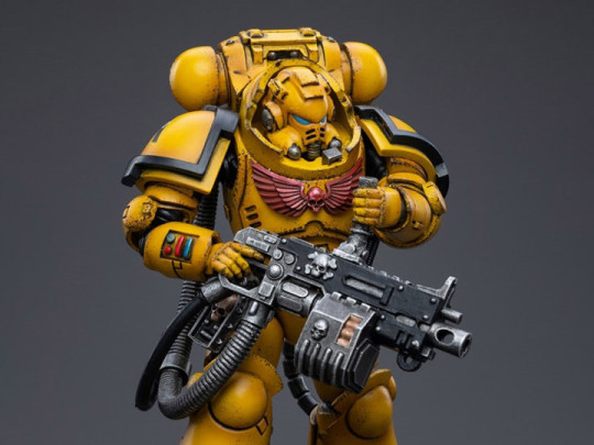 Imperial Fists Heavy Intercessor Polad Lycalrad