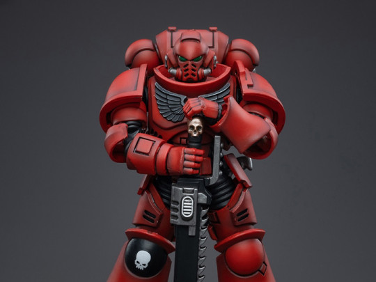 Blood Angels Intercessors