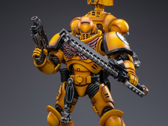 Imperial Fists Intercessors Brother Marine