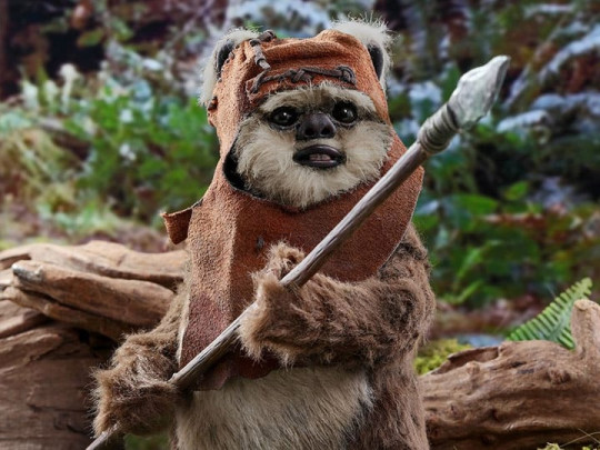Star Wars: Return of the Jedi MMS550 Wicket 1/6 Scale Collectible Figure