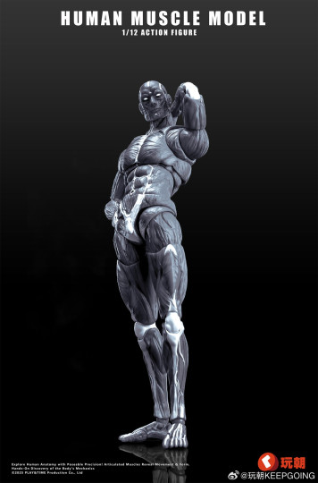 Keepgoing Studios 1/12 scale Human Muscle Model