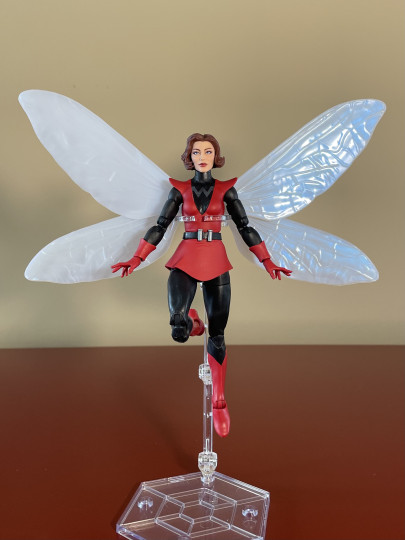 Wasp