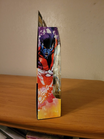 Display by Hindsite