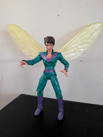 Wasp