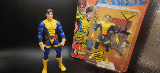 Display by Bambam_X