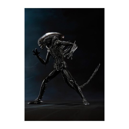 Alien