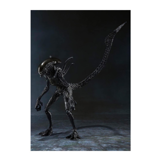 Alien Warrior (2004)