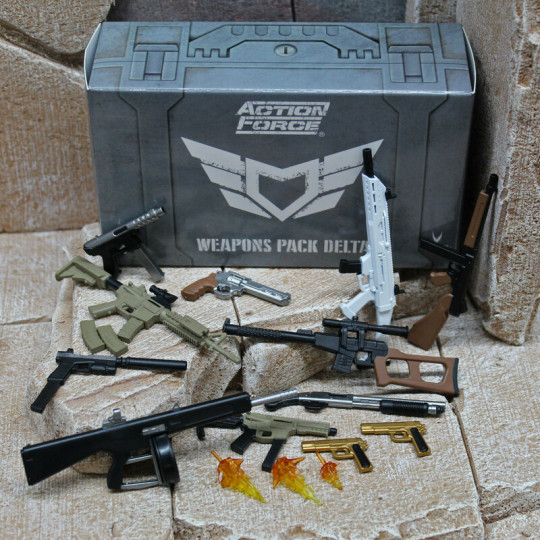 Action Force 2024 checklist
