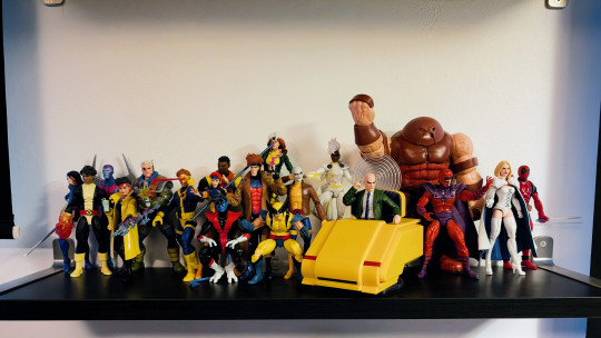 Display by Canderouscrafts