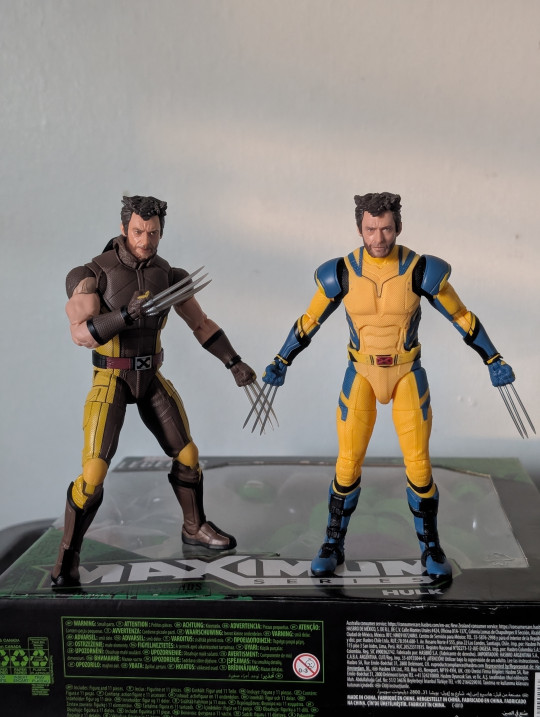 Collector win