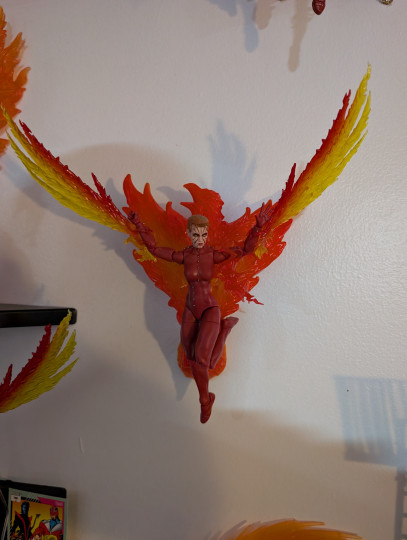 Display by BasharTeg