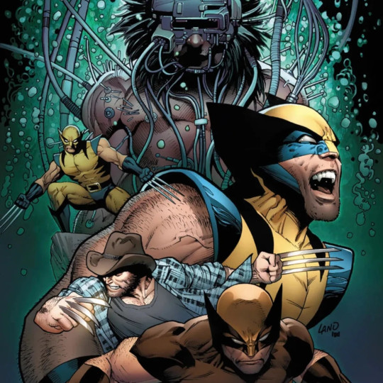 Marvel: Wolverines