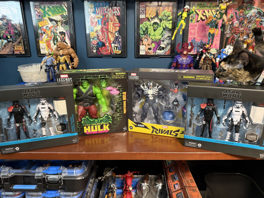 Collector win
