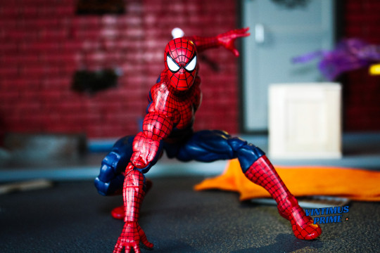 Display by VintimusPrime