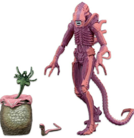 Display by Romnetto: Xenomorph Warrior