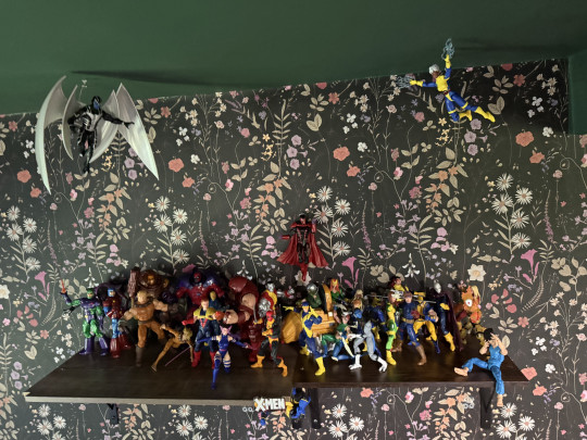 Display by parallax_sinestro_8424
