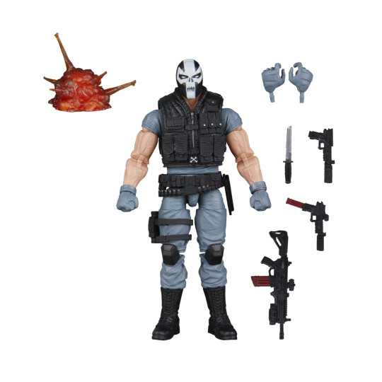 Display by Bonovox: Crossbones