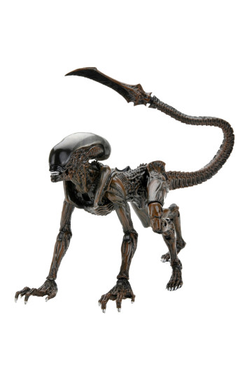 Aliens Fireteam Elite - Runner Alien 7 Scale