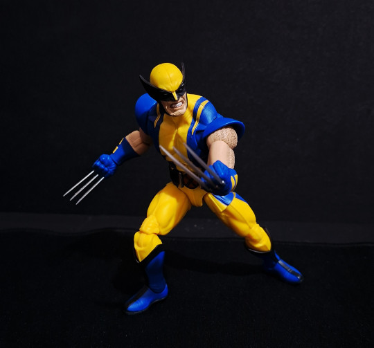Display by Zingaloat: Wolverine