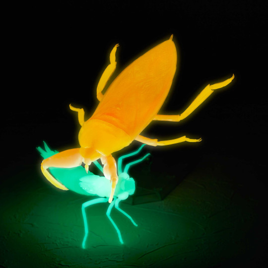 RG006 Ribozio Giant Water Bug Glow in the Dark (Orange Ver.)