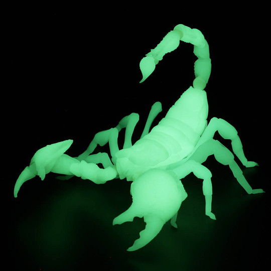 RG003 Ribozio Emperor Scorpion (Glow in the Dark Version)