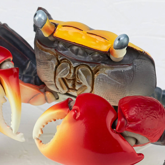 Red-Clawed Crab