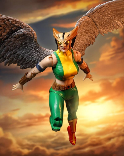 Display by VintimusPrime: Hawkgirl (Justice League Of America) Mcfarlane Collector Edi...